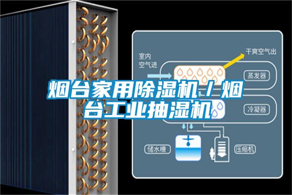 烟台家用91抖音免费看片／烟台工业抽湿机