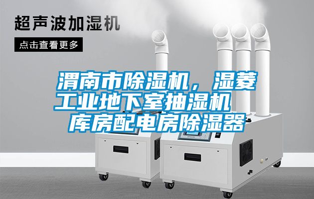 渭南市91抖音免费看片，湿菱工业地下室抽湿机  库房配电房除湿器