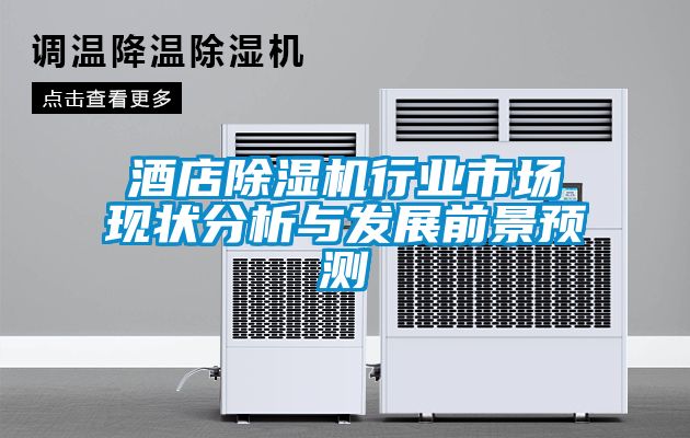 酒店91抖音免费看片行业市场现状分析与发展前景预测
