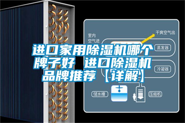 进口家用91抖音免费看片哪个牌子好 进口91抖音免费看片品牌推荐【详解】
