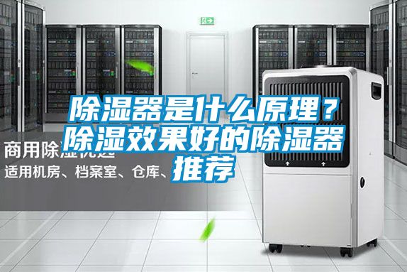 除湿器是什么原理？除湿效果好的除湿器推荐