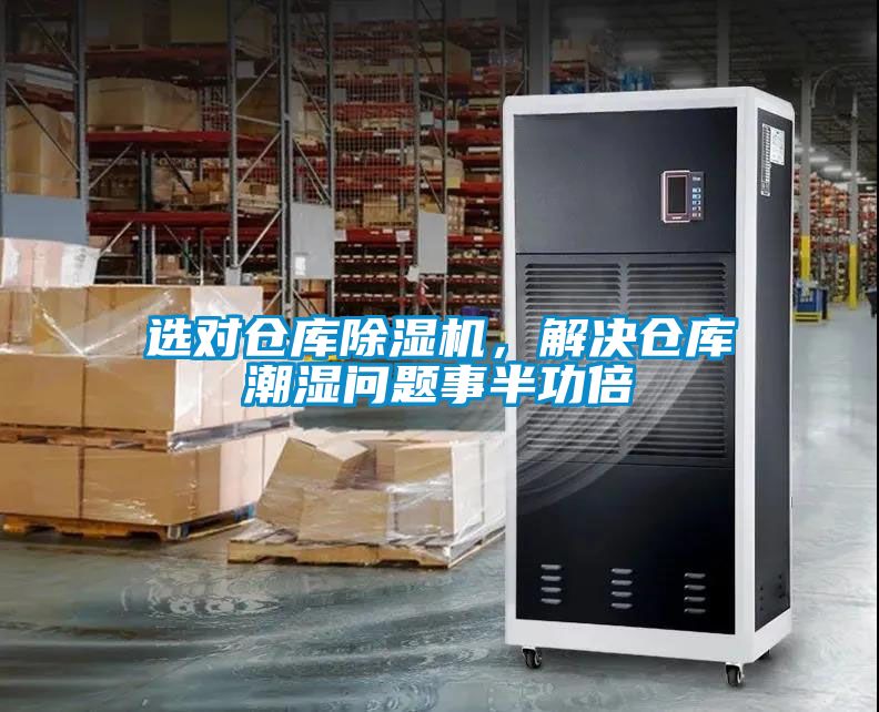 选对仓库91抖音免费看片，解决仓库潮湿问题事半功倍