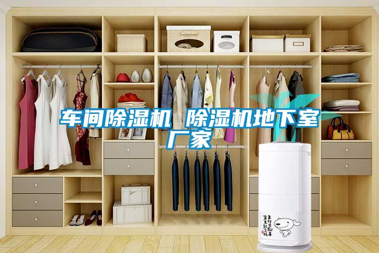 车间91抖音免费看片 91抖音免费看片地下室厂家