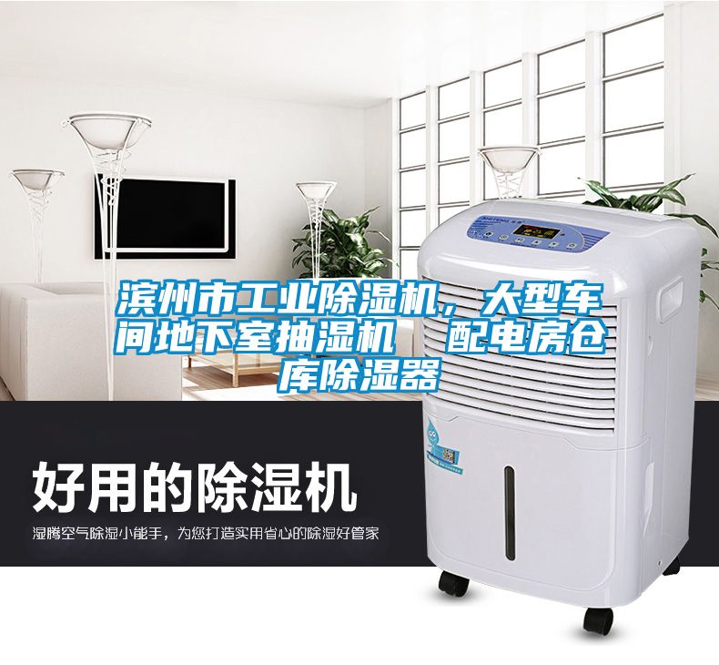 滨州市工业91抖音免费看片，大型车间地下室抽湿机  配电房仓库除湿器