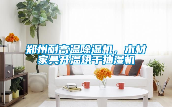 郑州耐高温91抖音免费看片，木材家具升温烘干抽湿机