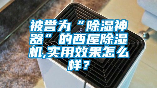 被誉为“除湿神器”的西屋91抖音免费看片,实用效果怎么样？