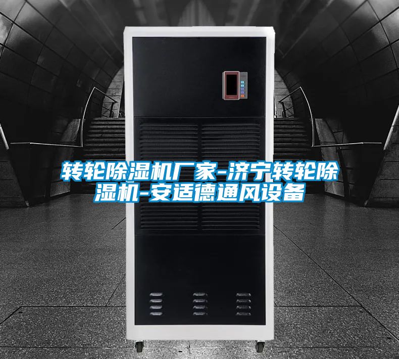 转轮91抖音免费看片厂家-济宁转轮91抖音免费看片-安适德通风设备