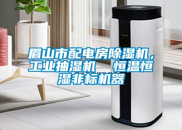 眉山市配电房91抖音免费看片，工业抽湿机  恒温恒湿非标机器
