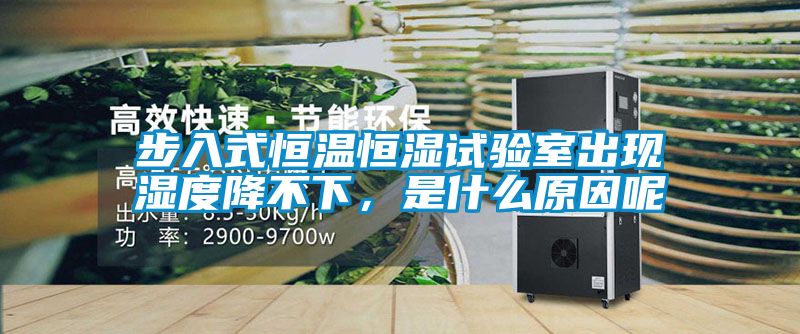 步入式恒温恒湿试验室出现湿度降不下，是什么原因呢