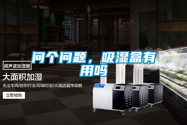 问个问题，吸湿盒有用吗