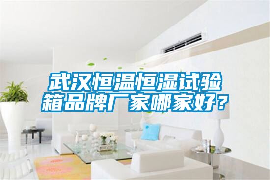 武汉恒温恒湿试验箱品牌厂家哪家好？