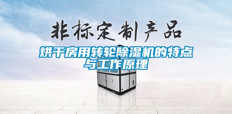 烘干房用转轮91抖音免费看片的特点与工作原理