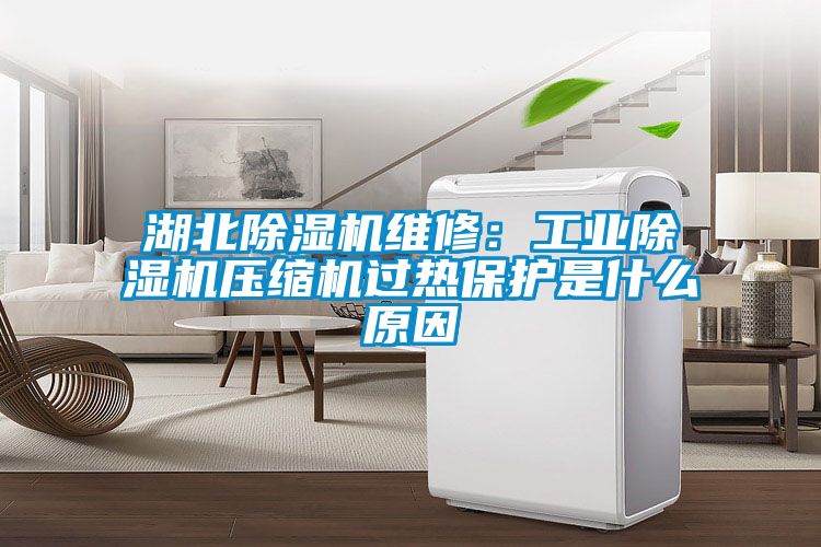 湖北91抖音免费看片维修：工业91抖音免费看片压缩机过热保护是什么原因