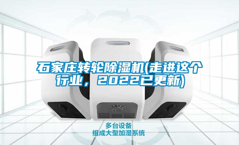 石家庄转轮91抖音免费看片(走进这个行业，2022已更新)