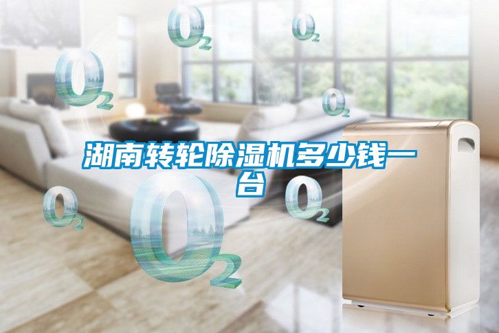 湖南转轮91抖音免费看片多少钱一台