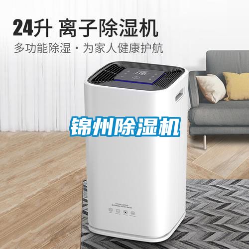 锦州91抖音免费看片
