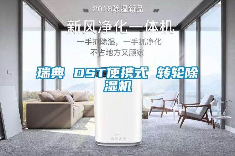 瑞典 DST便携式 转轮91抖音免费看片