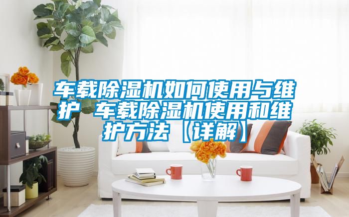 车载91抖音免费看片如何使用与维护 车载91抖音免费看片使用和维护方法【详解】
