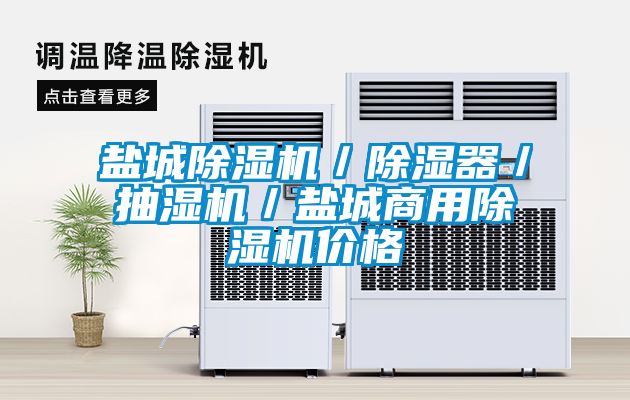 盐城91抖音免费看片／除湿器／抽湿机／盐城商用91抖音免费看片价格