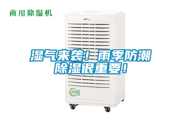 湿气来袭！雨季防潮除湿很重要！