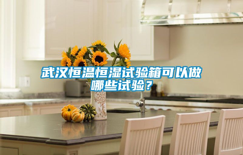武汉恒温恒湿试验箱可以做哪些试验？