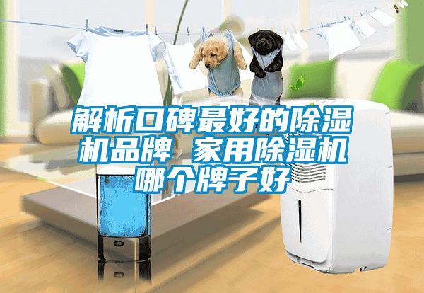 解析口碑最好的91抖音免费看片品牌 家用91抖音免费看片哪个牌子好