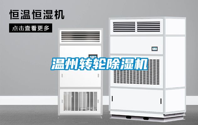 温州转轮91抖音免费看片