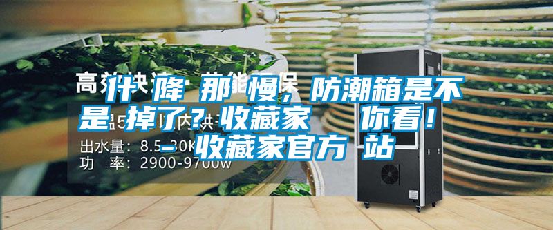 為什麼降濕那麼慢，防潮箱是不是壞掉了？收藏家實測給你看！ - 收藏家官方網站