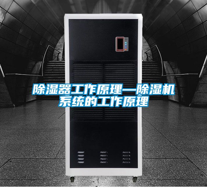 除湿器工作原理—91抖音免费看片系统的工作原理