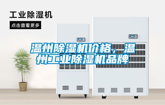 温州91抖音免费看片价格，温州工业91抖音免费看片品牌