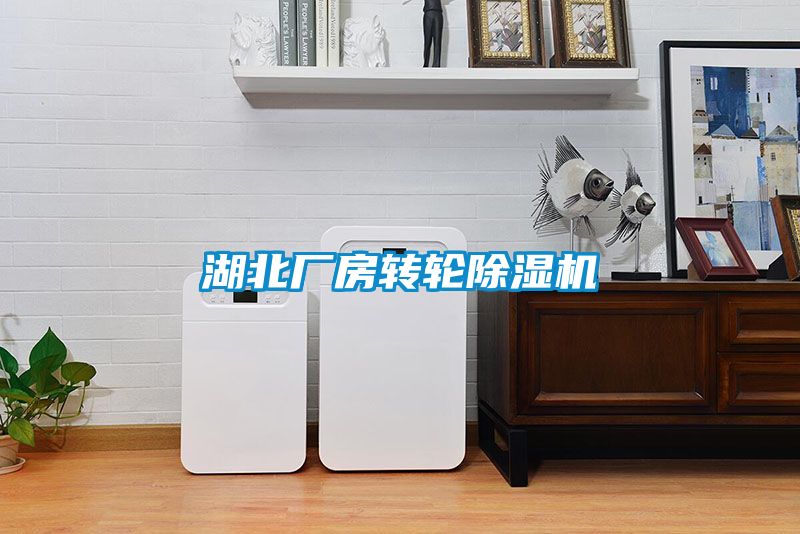 湖北厂房转轮91抖音免费看片