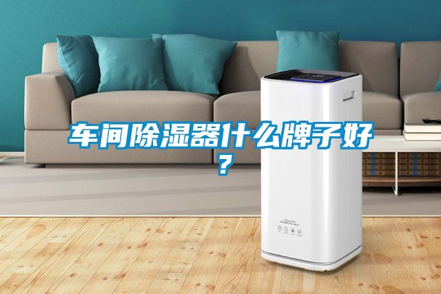 车间除湿器什么牌子好？
