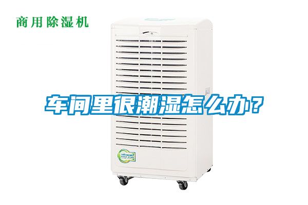 车间里很潮湿怎么办？