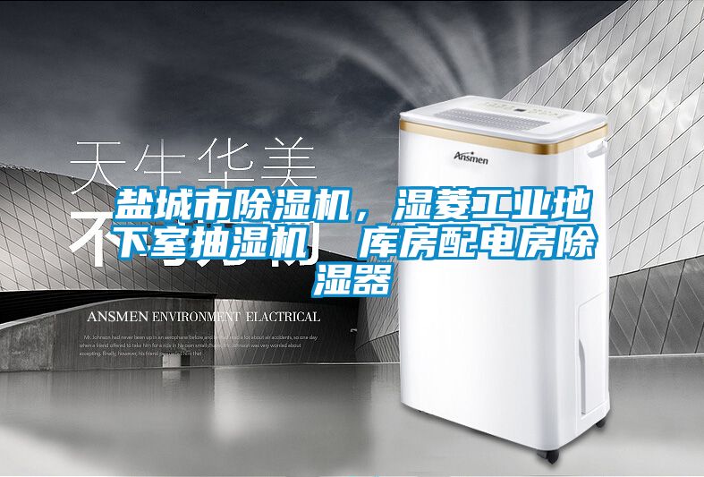 盐城市91抖音免费看片，湿菱工业地下室抽湿机  库房配电房除湿器