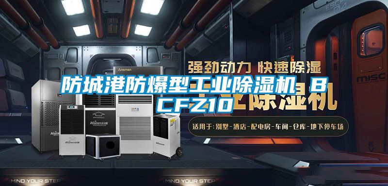防城港防爆型工业91抖音免费看片 BCFZ10
