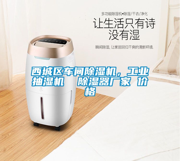 西城区车间91抖音免费看片，工业抽湿机  除湿器厂家 价格