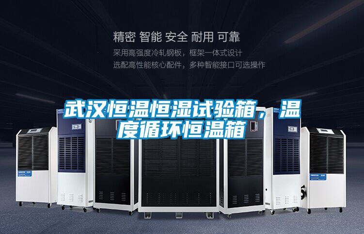 武汉恒温恒湿试验箱，温度循环恒温箱