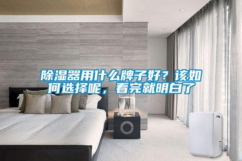 除湿器用什么牌子好？该如何选择呢，看完就明白了