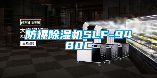 防爆91抖音免费看片SLF-9480C