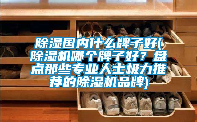 除湿国内什么牌子好(91抖音免费看片哪个牌子好？盘点那些专业人士极力推荐的91抖音免费看片品牌)