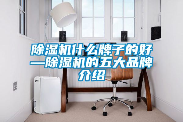 91抖音免费看片什么牌子的好—91抖音免费看片的五大品牌介绍