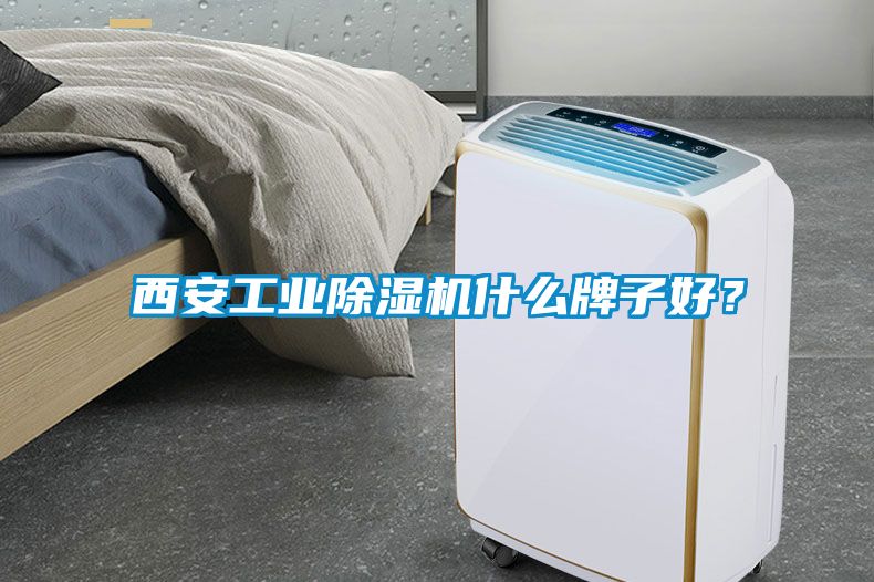 西安工业91抖音免费看片什么牌子好？