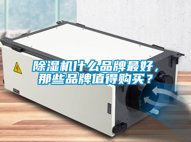91抖音免费看片什么品牌最好，那些品牌值得购买？