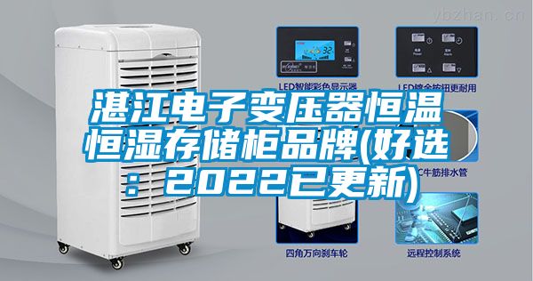 湛江电子变压器恒温恒湿存储柜品牌(好选：2022已更新)