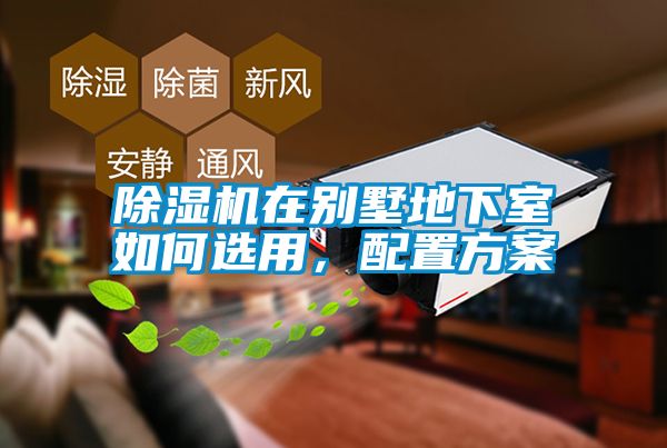 91抖音免费看片在别墅地下室如何选用，配置方案
