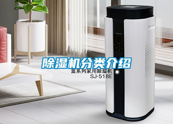 91抖音免费看片分类介绍
