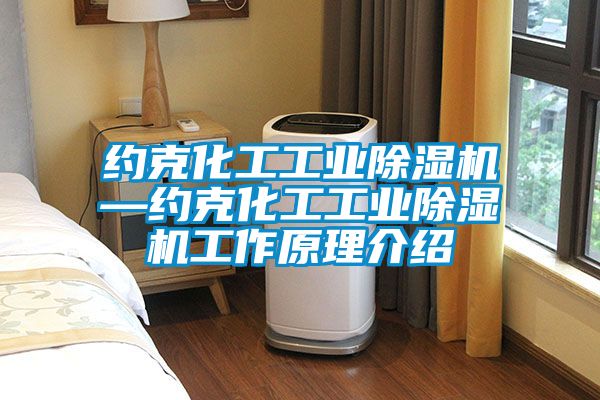 约克化工工业91抖音免费看片—约克化工工业91抖音免费看片工作原理介绍