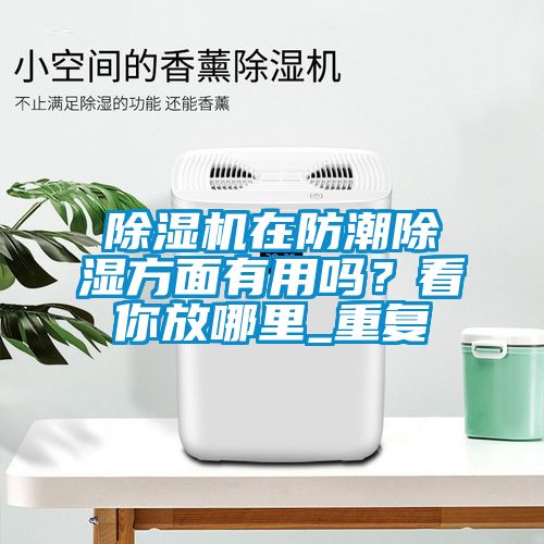 91抖音免费看片在防潮除湿方面有用吗？看你放哪里_重复