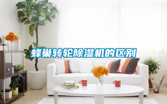 蜂巢转轮91抖音免费看片的区别
