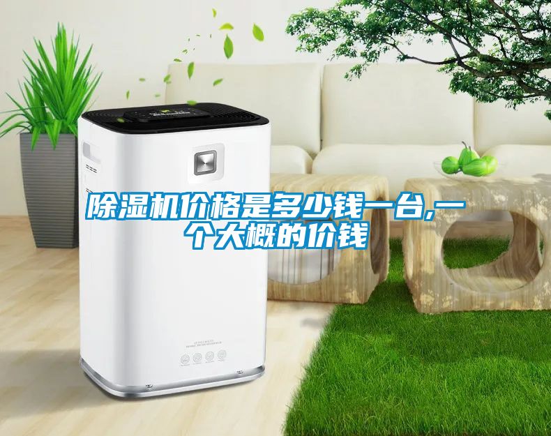 91抖音免费看片价格是多少钱一台,一个大概的价钱